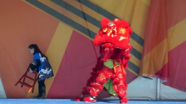 Moscou, Rússia - 14 de maio de 2017: leão vermelho mitológico chinês bate palmas e coceiras durante a apresentação no palco no festival das artes marciais "Um no campo guerreiro ". — Vídeo de Stock