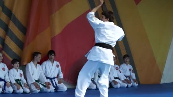 Moskau, russland - 14. Mai 2017: karate man führt kata mit einem stock während des festivals der martial arts "one in the field warrior". — Stockvideo