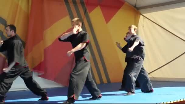 Moscow, Russia - May 14, 2017: group of wushu sportsmen perform together during on the festival of martial arts `One in the field is warrior`. — Stok video