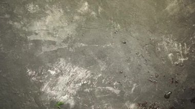 Kadının el görüntülemek çerçevesinden sebze, en iyi yapılan. 