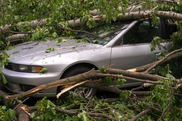 Moscou, Rússia - 30 de maio de 2017: um carro cheio de árvores caídas durante um forte furacão — Fotografia de Stock