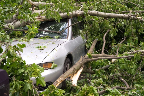 Moscou, Rússia - 30 de maio de 2017: um carro cheio de árvores caídas durante um forte furacão — Fotografia de Stock
