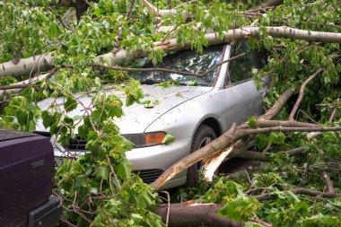 Moskova, Rusya - 30 Mayıs 2017: sokak Park ve tam bir hurricain sonra ağaçları ile çevrili araba