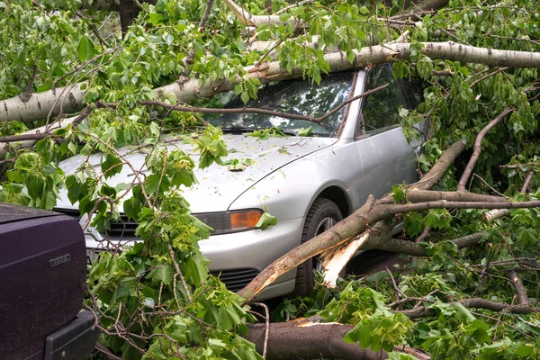Moscow, Russia - May 30, 2017: car parked at the street and fully littered with trees after a hurricain — Stock Photo, Image