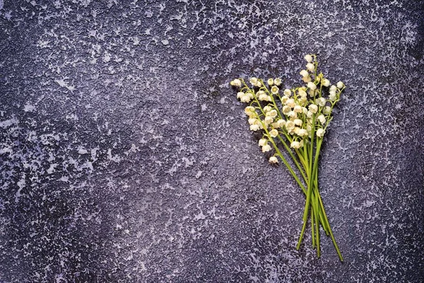 Banda lilie z údolí na pozadí texturou cementu s kopií prostor — Stock fotografie
