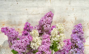 kopya alanı ahşap bir zemin üzerine Lila Üstten Görünüm