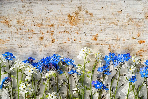 Esqueça-me-não moldura de flores em um fundo de madeira velha com espaço de cópia — Fotografia de Stock