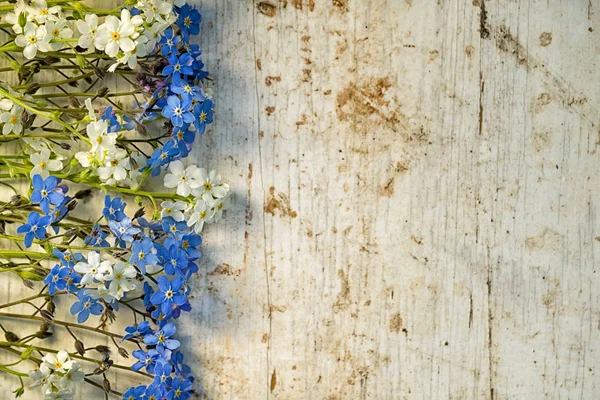 frame from a row of blue and white forget me not flowers at the wooden shabby background with copy space for your text