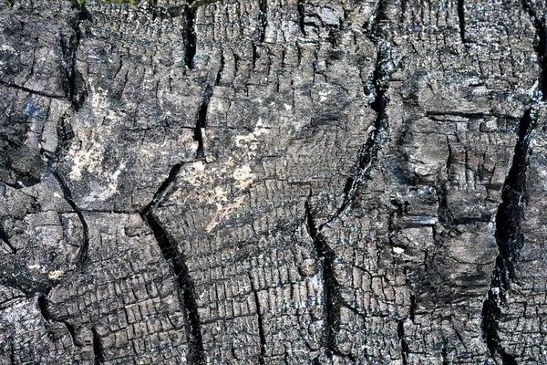 Zwarte kolen close-up achtergrond — Stockfoto