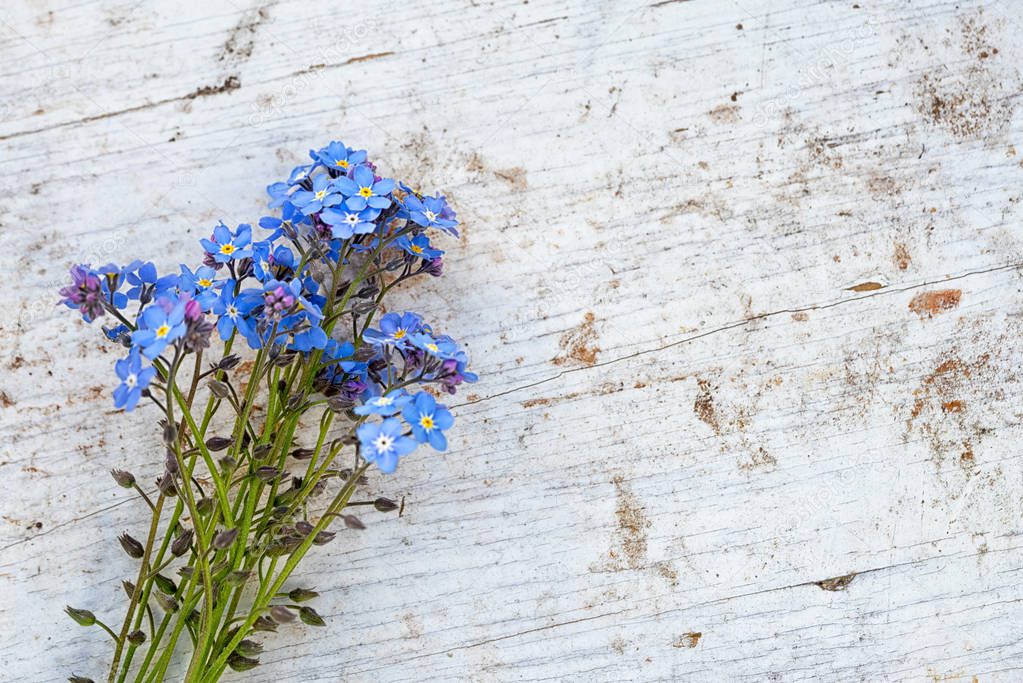 bunch of forget me not flowers on a wooden background with copy space for your text