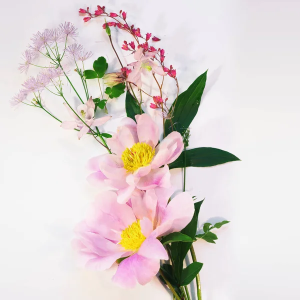 Árbol como peonía y flores silvestres en colores rosa claro —  Fotos de Stock