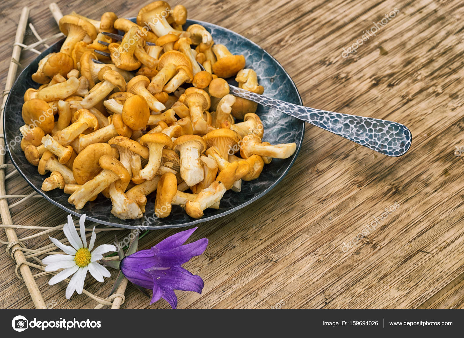 Raw chantarelles on a plate with copy space — Stock Photo © Elf+