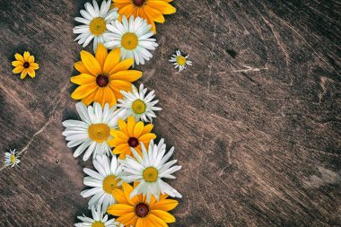 Üstten Görünüm metniniz için kopya alanı ile ahşap bir masaya papatya ve rudbeckia çiçek