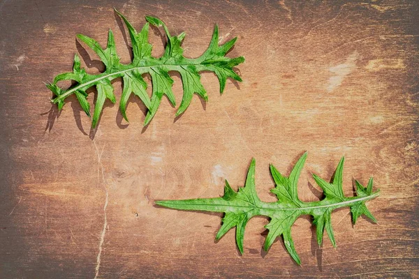 Dos hojas de cardo verde como un marco sobre un fondo de mesa de madera con espacio de copia para su texto — Foto de Stock