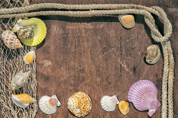 frame from old rope with nautical knot, fishing net and sea shells on a dark wooden table with copy space
