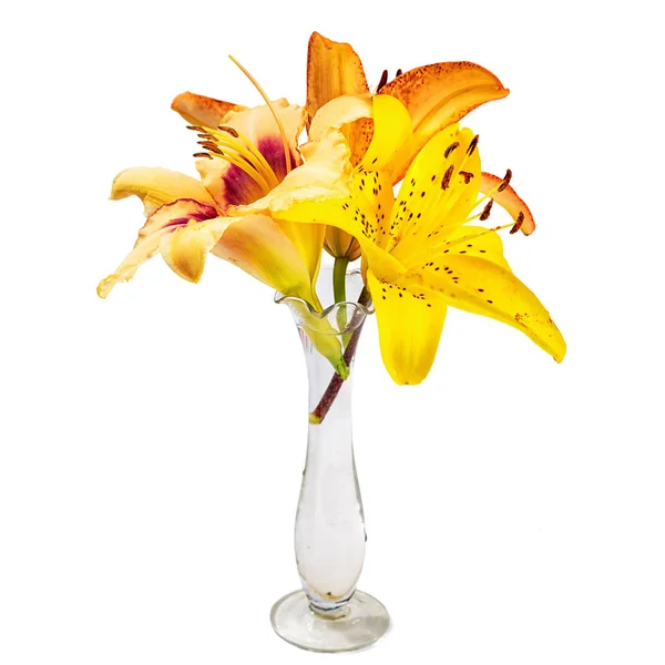 Bouquet con fiori di giglio in un piccolo vaso di vetro trasparente isolato su sfondo bianco — Foto Stock