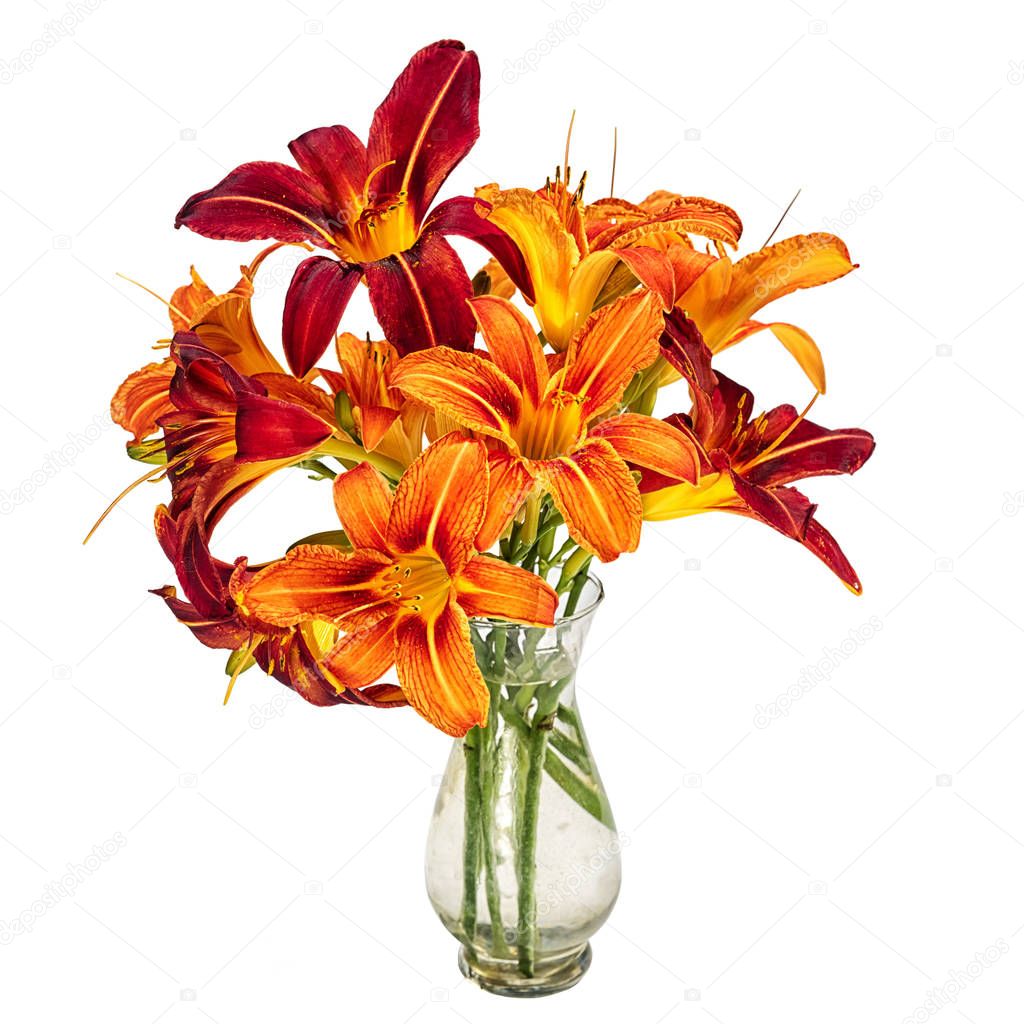 bouquet with hemerocallis flowers in a small transparent glass vase isolated on white background as an element for your decor