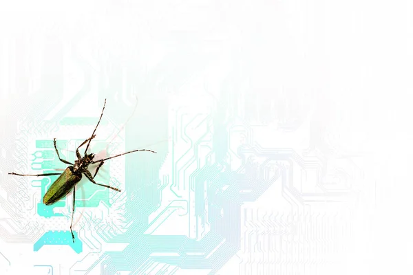 Conceptuele achtergrond silhouet van het moederbord van de computer en longhorn kever insect symboliseert computervirus, met kopie ruimte voor uw tekst — Stockfoto