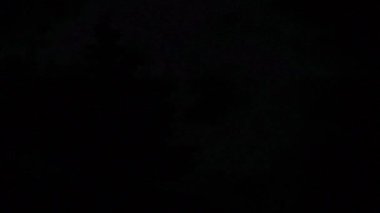 spurce ağacı ile gece açık sahne alanı'nda yıldırım 