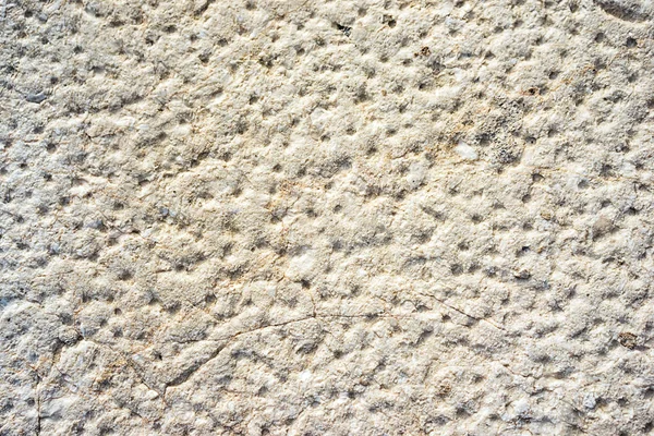 Pared de piedra neutra beige con mucha textura de agujeros — Foto de Stock