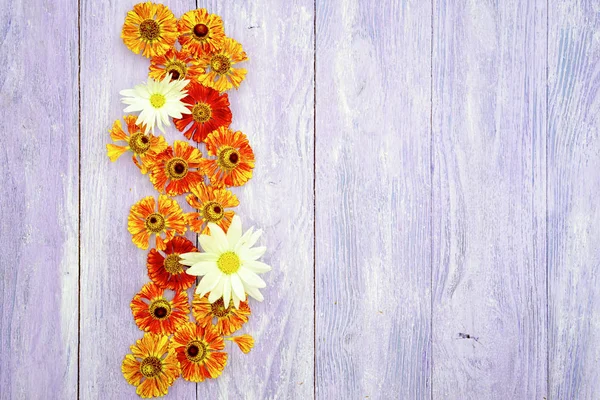 Border frame made from helenium autumnale and chamomile flowers on a wooden table. top view with copy space for your text. — Stock Photo, Image