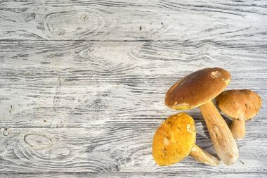 ahşap bir masa, kopya alanı menü metni ile üstten görünüm köşesinde grup üç boletus mantarı mantar