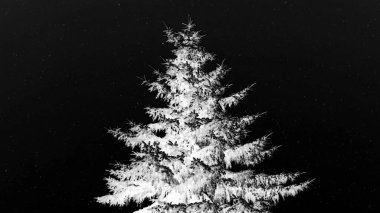 Yeni yıl kavramsal görüntü kızılötesi siyah karlı gökyüzünün ortasında beyaz Noel ağacı.