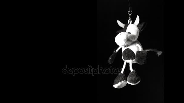 Bull Toy Hunging Black Background Copy Space Your Text — Stock Video