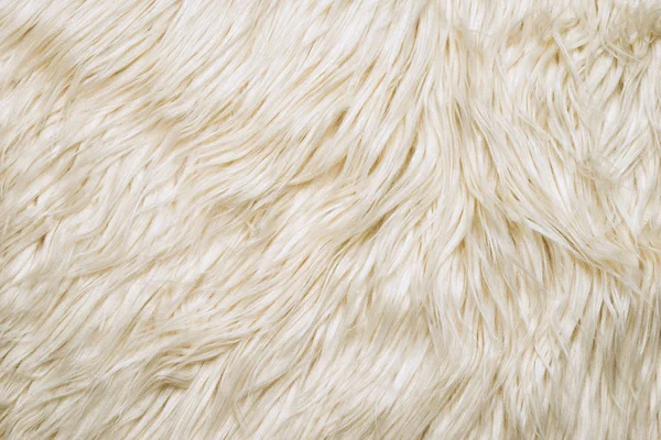 White wool fur. Detail of white sheep fur as a background.