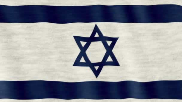 Closeup Israel Flag Blown Wind — Stock Video