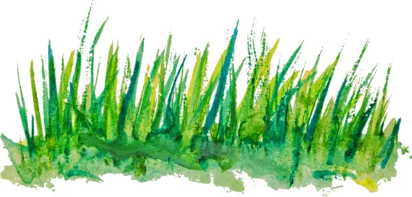Grönt Gräs Akvarell Bakgrunden Isolerad Vit Bakgrund Eps10 Vektorillustration — Stock vektor