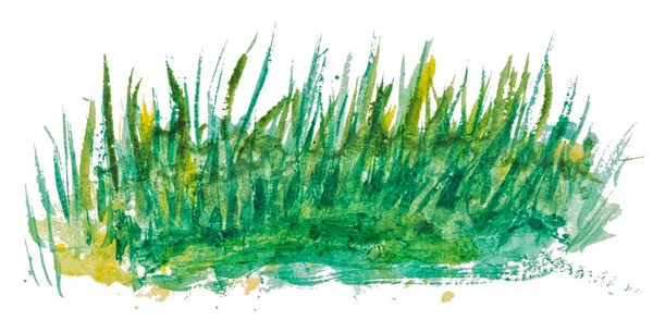 Grünes Gras Aquarell Hintergrund Isoliert Auf Weißem Hintergrund — Stockfoto