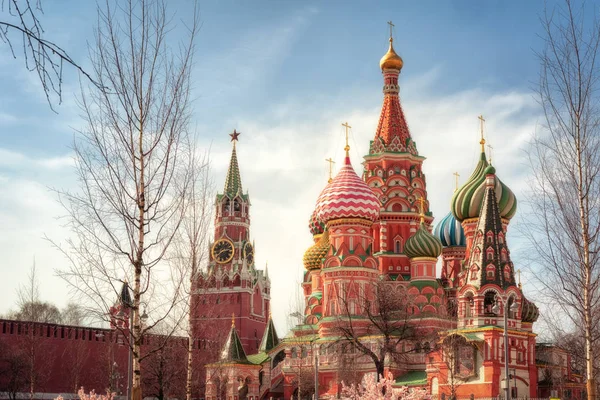 莫斯科克里姆林宫和位于俄罗斯莫斯科红场的圣罗勒大教堂 春晴日 白桦树在第一阶段 — 图库照片