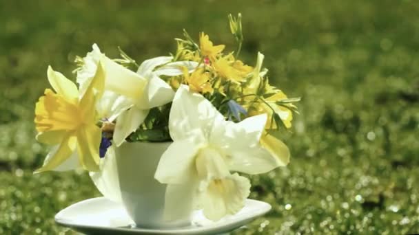 Gula Narcisser Och Vilda Våren Blommor Bukett Kaffekopp Stället För — Stockvideo