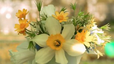 Nergis buket güneşli bir günde, açık dönen bir kahve Kupası'nda yan görünümü kapatın.