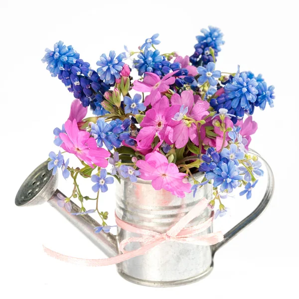 Bahar Çiçek Buketi Bahçe Sulama Beyaz Arka Plan Üzerinde Izole — Stok fotoğraf