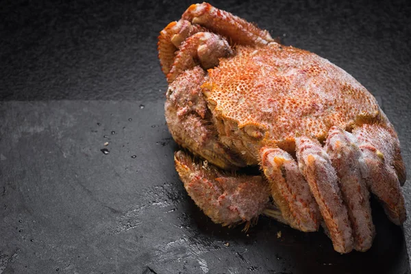 Icy hairy crab laying on the black table and slate board, close up side view.