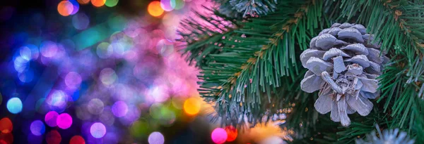 モミの木の松のコーンと背景に多くのクリスマスのボケのライト — ストック写真