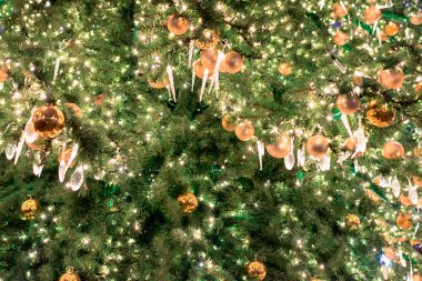 Ağaçta asılı Noel ışıkları