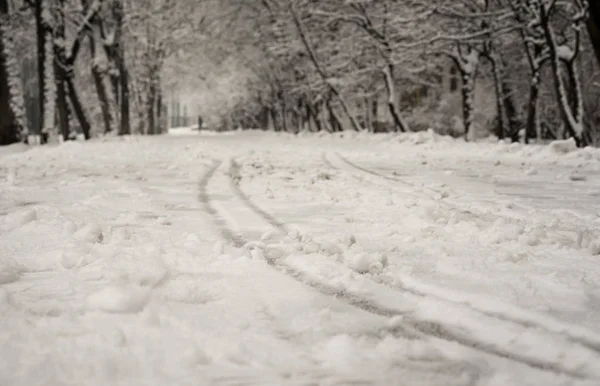 Zimowa Alejka Zaśnieżonym Parku Odciskami Sań Śniegu — Zdjęcie stockowe