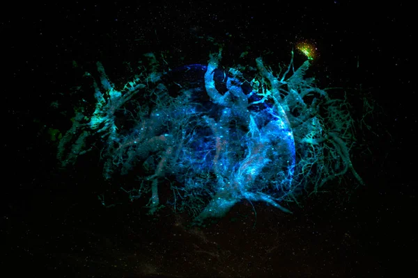 Interlaced Roots Shape Alien Planet Galaxy Elements Image Furnished Nasa — Stock Photo, Image