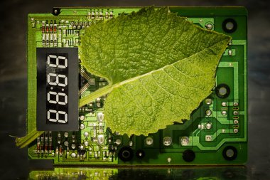 Elektronik zamanlayıcı ile devre kartı ve yaprak. Çevre dostu teknoloji kavramı. Yeşil enerji. Teknoloji ve doğanın birleşimi.