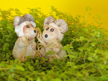 Çim dekoratif koyun. Arka plan bahar ve Paskalya.