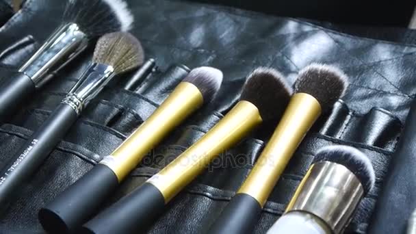 A set of professional brushes for makeup and cosmetic purposes. — Stock Video