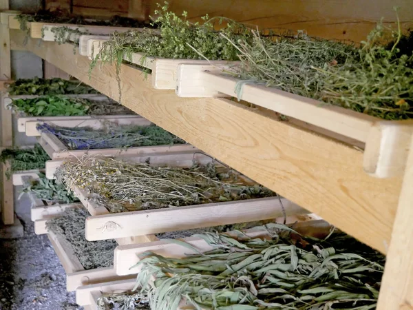 Secador tradicional para secar ervas e especiarias . — Fotografia de Stock