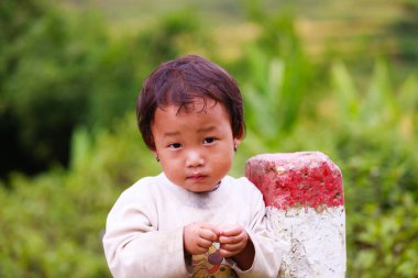 Pirinç Teras nehir yan o Y Ty kasaba, Lao Cai Eyaleti, Vietnamca Hmong çocuklarda