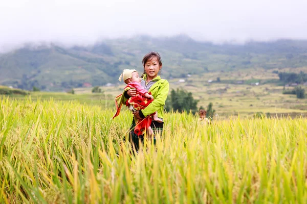 Vietnamesiska Hmong barn i ris terrass river side o på Y Ty town, Lao Cai-provinsen — Stockfoto