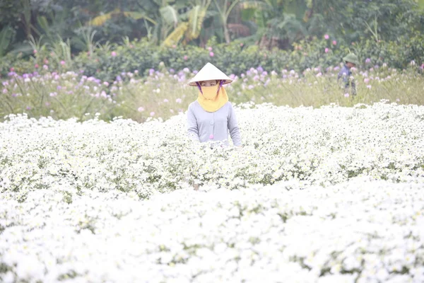 Mujer joven trabajando en su jardín en Hanoi, Vietnam en diciembre 02, 2016 — Foto de Stock