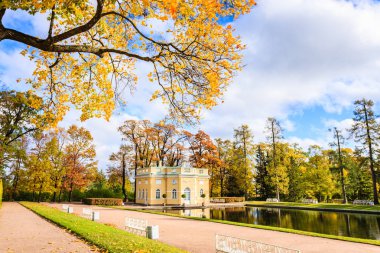 St Petersburg, sonbaharda orman