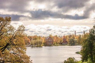 St Petersburg, sonbaharda orman
